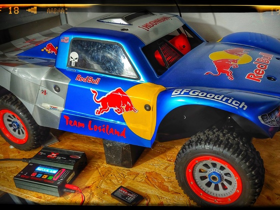 Red Bull reed Losi 295